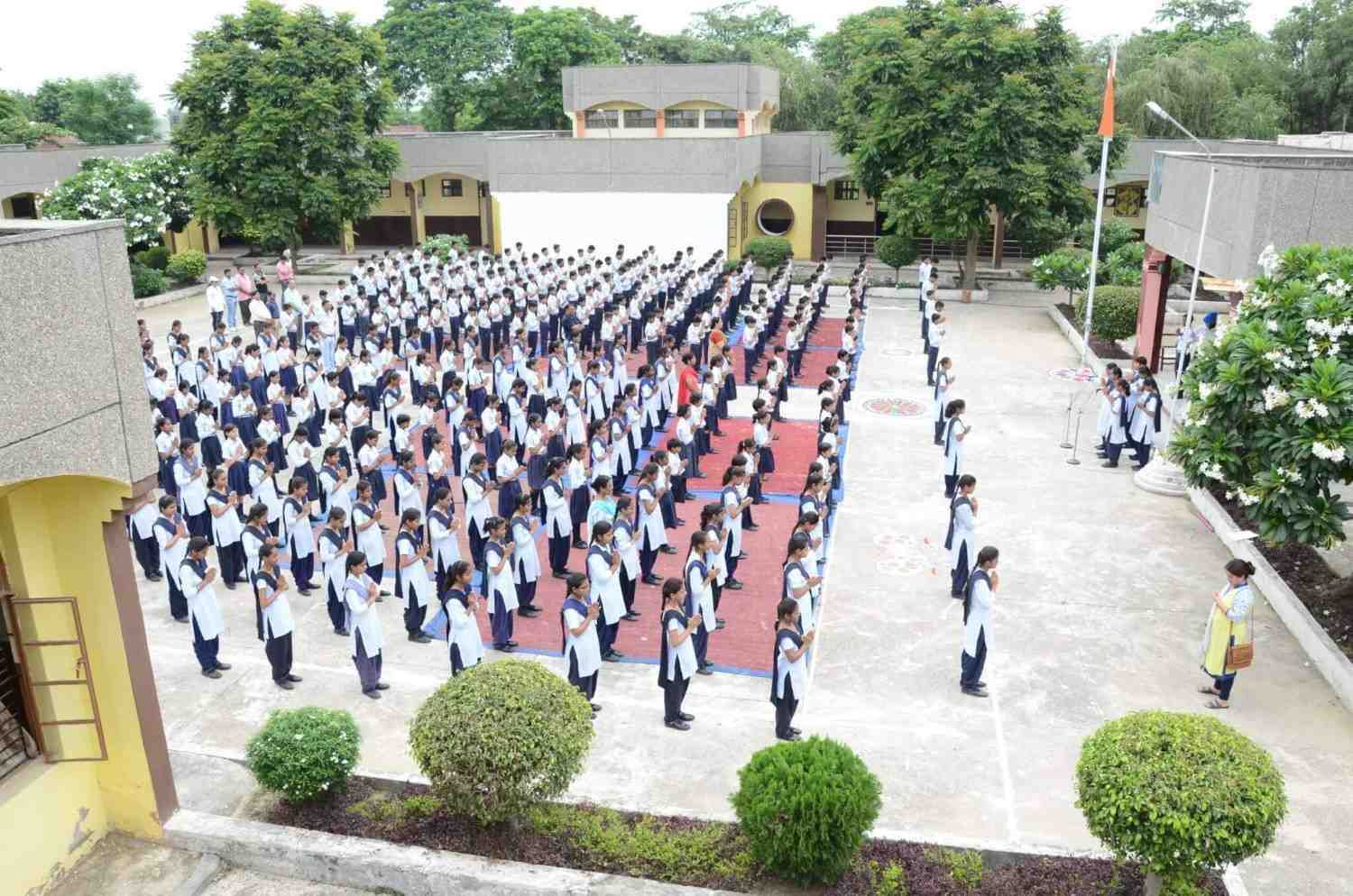 Navodaya-coaching-classes